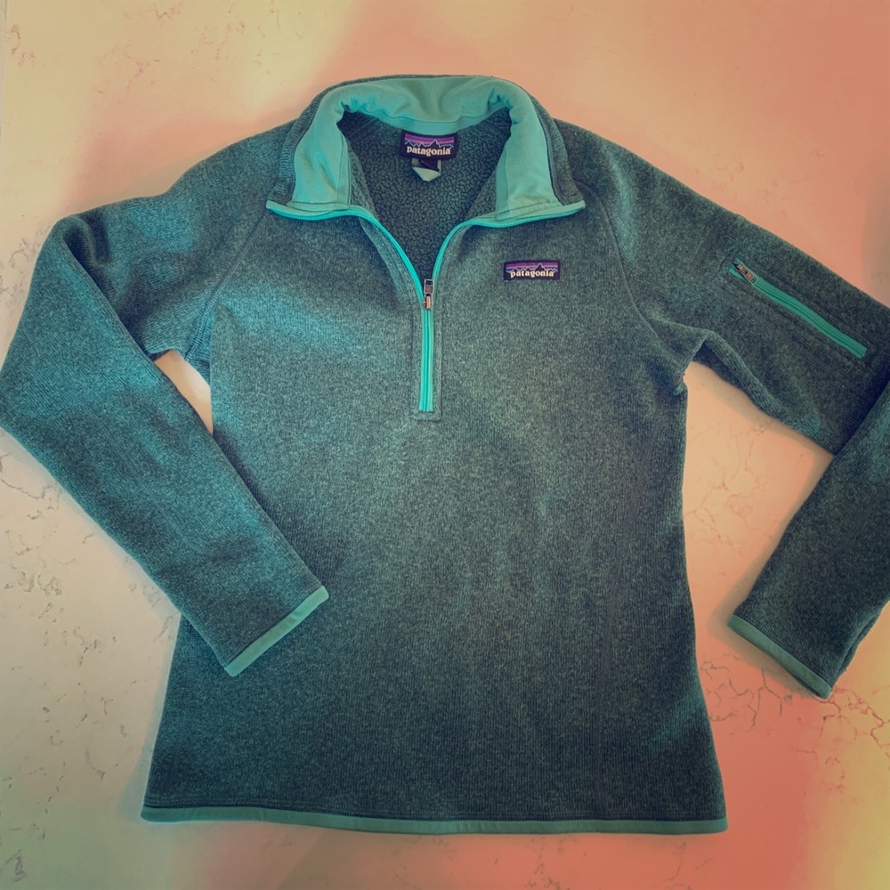 Patagonia fleece jacket